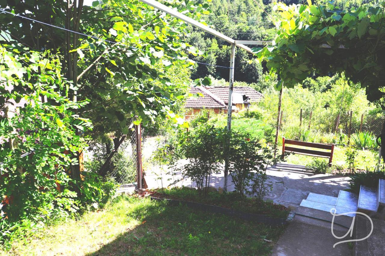 Вила Ирена Radevtsi Exteriér fotografie