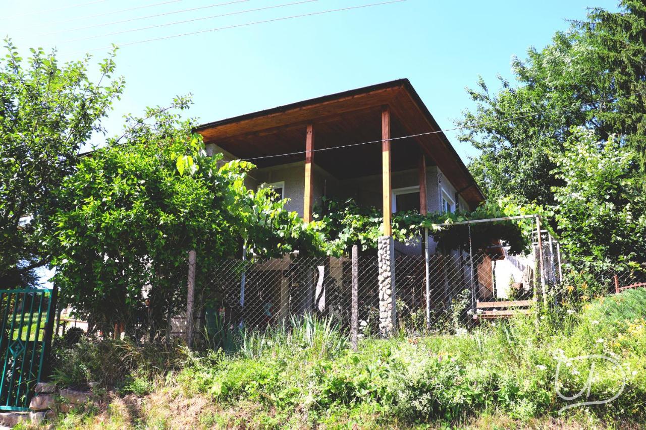 Вила Ирена Radevtsi Exteriér fotografie