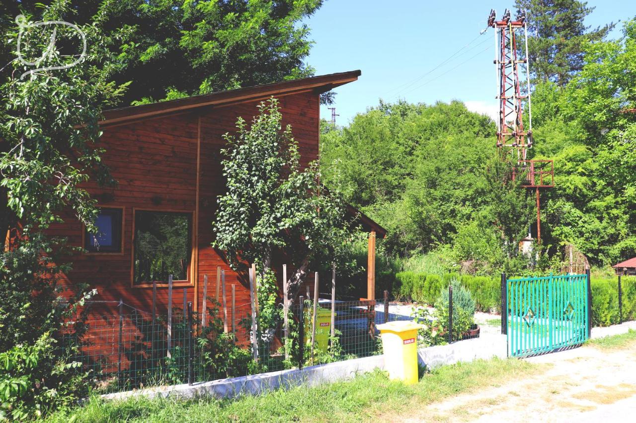Вила Ирена Radevtsi Exteriér fotografie